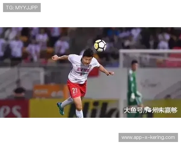 “南非羚羊队的防线铁卫：霍斯特的完美表现”