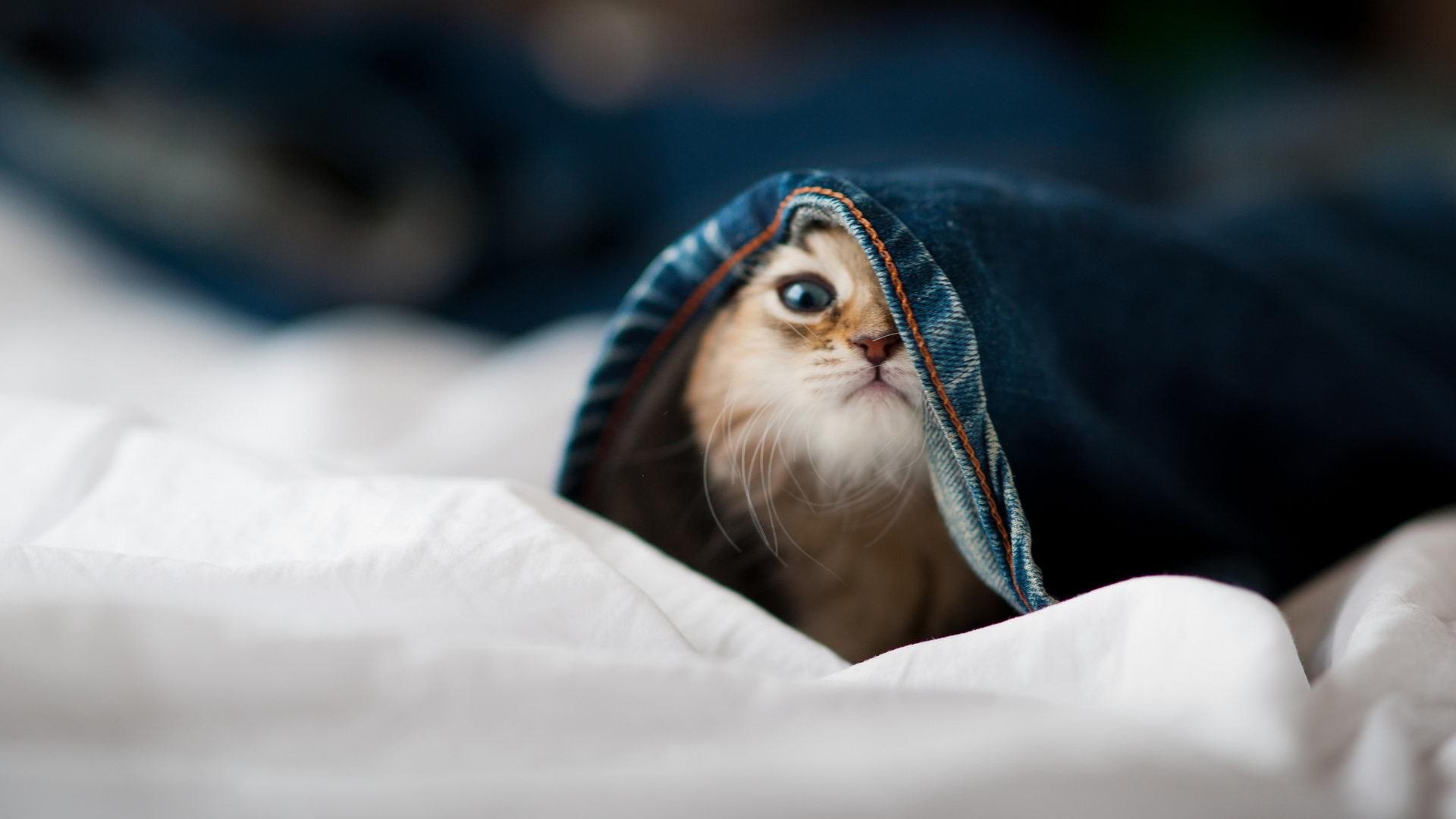 开云体育官网登入-李娜应邀出席网球发展大会担任讲师，李娜网球目前任职情况