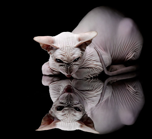 开云体育app官网-独行侠前锋发布个人训练集锦引发热议，独行侠大前锋